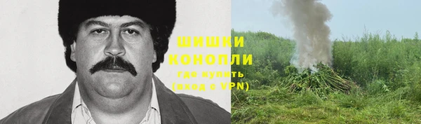 Альфа ПВП Абаза