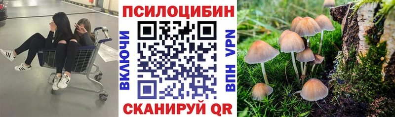 купить закладку  Мурино  Галлюциногенные грибы GOLDEN TEACHER 