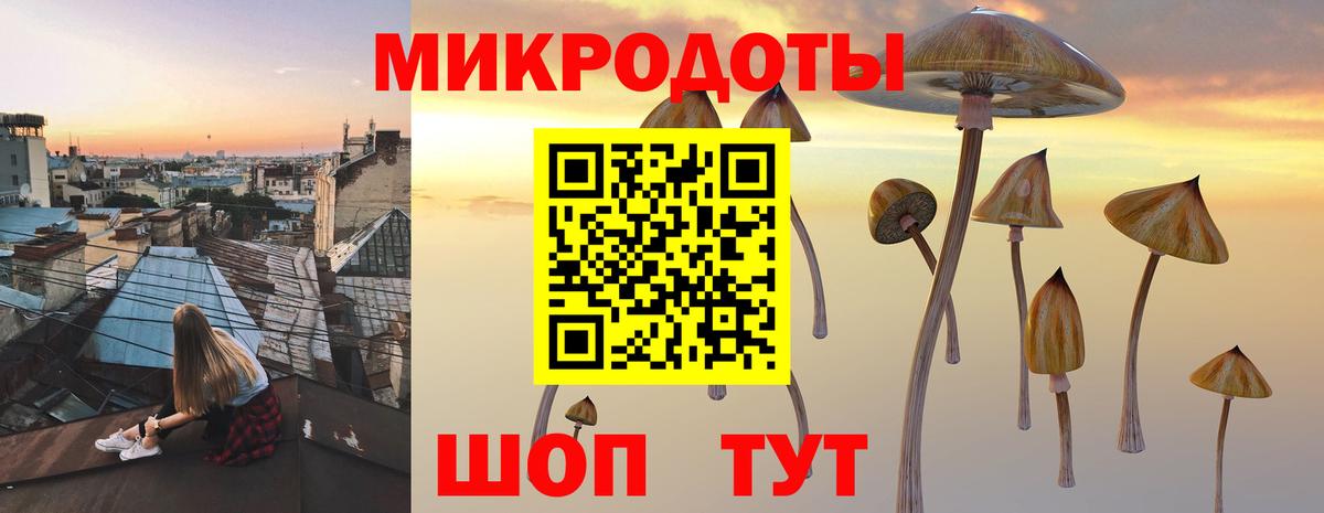 Псилоцибиновые грибы Cubensis  Вход с VPN  Мурино 